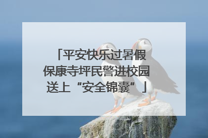 平安快乐过暑假 保康寺坪民警进校园送上“安全锦囊”