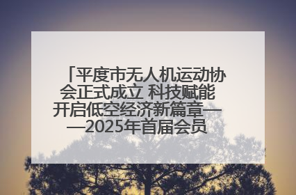 平度市无人机运动协会正式成立 科技赋能开启低空经济新篇章——2025年首届会员大会暨无人机应用发展论坛成功举办