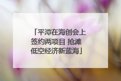 平潭在海创会上签约两项目 抢滩低空经济新蓝海