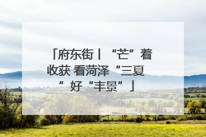 府东街丨“芒”着收获 看菏泽“三夏”好“丰景”