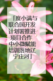 度小满与联合国开发计划署推进项目合作 中小微赋能培训落地辽宁庄河