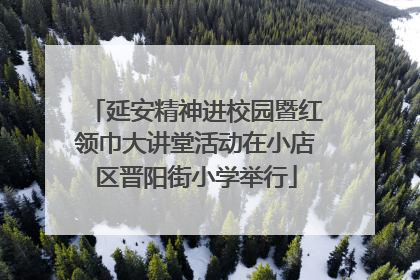 延安精神进校园暨红领巾大讲堂活动在小店区晋阳街小学举行