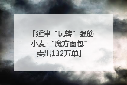 延津“玩转”强筋小麦 “魔方面包”卖出132万单