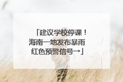 建议学校停课！海南一地发布暴雨红色预警信号→