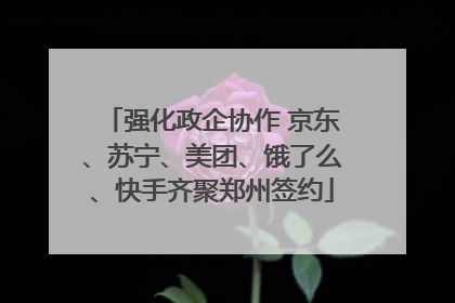 强化政企协作 京东、苏宁、美团、饿了么、快手齐聚郑州签约