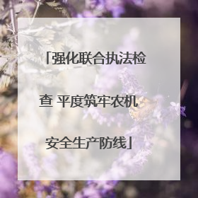 强化联合执法检查 平度筑牢农机安全生产防线