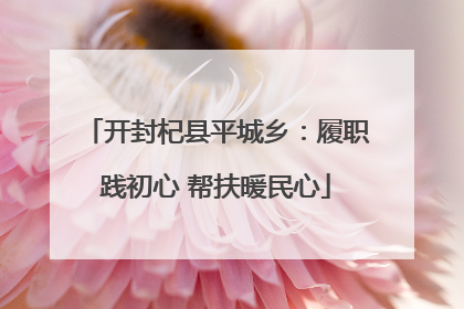 开封杞县平城乡：履职践初心 帮扶暖民心