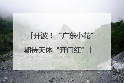 开波！“广东小花”期待天体“开门红”
