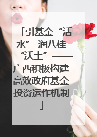 引基金“活水” 润八桂“沃土”——广西积极构建高效政府基金投资运作机制