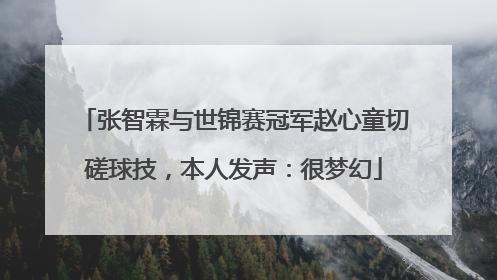 张智霖与世锦赛冠军赵心童切磋球技，本人发声：很梦幻