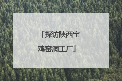 探访陕西宝鸡窑洞工厂