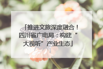 推进文旅深度融合！四川省广电局：构建“大视听”产业生态