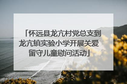 怀远县龙亢村党总支到龙亢镇实验小学开展关爱留守儿童慰问活动