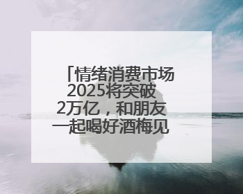 情绪消费市场2025将突破2万亿，和朋友一起喝好酒梅见青梅酒