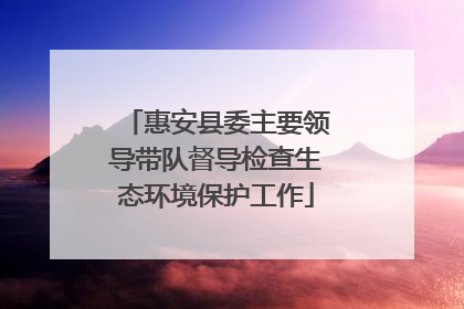 惠安县委主要领导带队督导检查生态环境保护工作