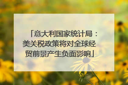 意大利国家统计局：美关税政策将对全球经贸前景产生负面影响
