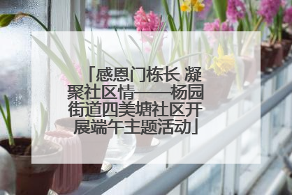 感恩门栋长 凝聚社区情——杨园街道四美塘社区开展端午主题活动