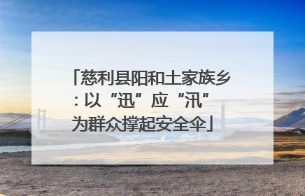 慈利县阳和土家族乡：以“迅”应“汛” 为群众撑起安全伞