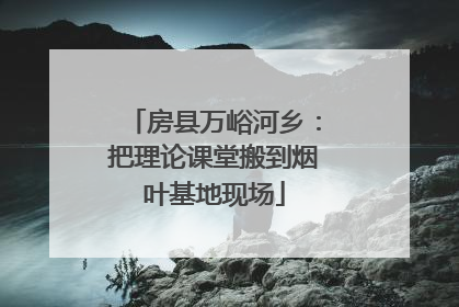 房县万峪河乡：把理论课堂搬到烟叶基地现场