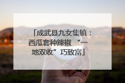 成武县九女集镇：西瓜套种辣椒 “一地双收”巧致富