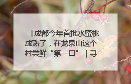 成都今年首批水蜜桃成熟了，在龙泉山这个村尝鲜“第一口”｜寻找和美乡村推荐官