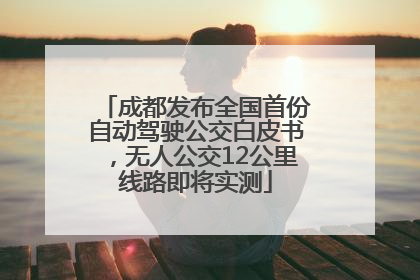 成都发布全国首份自动驾驶公交白皮书，无人公交12公里线路即将实测