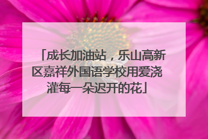成长加油站，乐山高新区嘉祥外国语学校用爱浇灌每一朵迟开的花