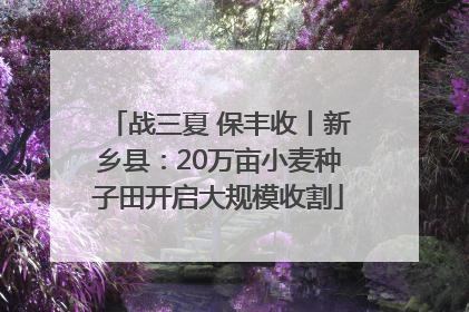 战三夏 保丰收丨新乡县：20万亩小麦种子田开启大规模收割