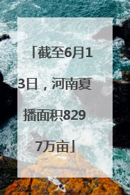 截至6月13日，河南夏播面积8297万亩