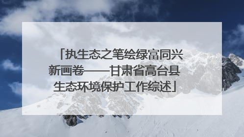 执生态之笔绘绿富同兴新画卷——甘肃省高台县生态环境保护工作综述