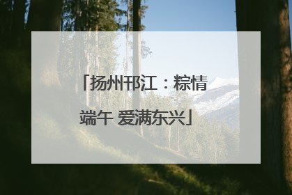 扬州邗江：粽情端午 爱满东兴