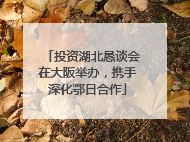投资湖北恳谈会在大阪举办，携手深化鄂日合作
