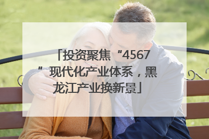 投资聚焦“4567”现代化产业体系，黑龙江产业换新景