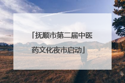 抚顺市第二届中医药文化夜市启动