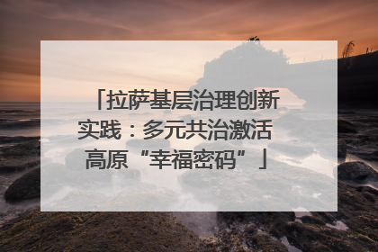 拉萨基层治理创新实践：多元共治激活高原“幸福密码”