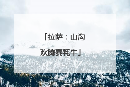 拉萨：山沟欢腾赛牦牛