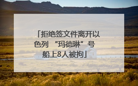 拒绝签文件离开以色列 “玛德琳”号船上8人被拘