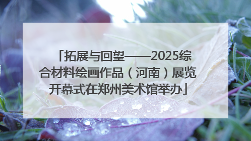 拓展与回望——2025综合材料绘画作品（河南）展览开幕式在郑州美术馆举办