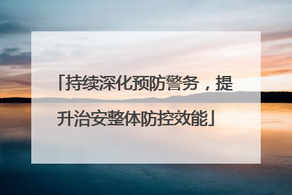 持续深化预防警务，提升治安整体防控效能