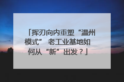 挥刃向内重塑“温州模式” 老工业基地如何从“新”出发？
