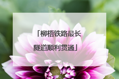 柳梧铁路最长隧道顺利贯通