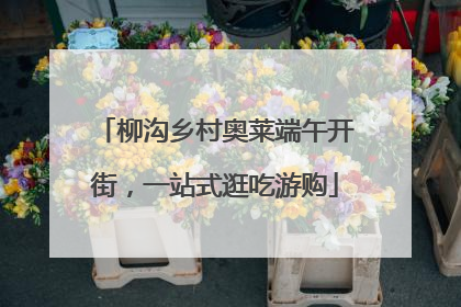 柳沟乡村奥莱端午开街，一站式逛吃游购