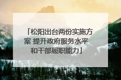 松阳出台两份实施方案 提升政府服务水平和干部履职能力
