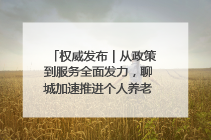 权威发布｜从政策到服务全面发力，聊城加速推进个人养老金制度落地