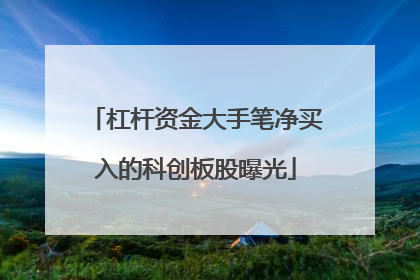 杠杆资金大手笔净买入的科创板股曝光