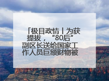 极目政情丨为获提拔，“80后”副区长送给国家工作人员巨额财物被“双开”