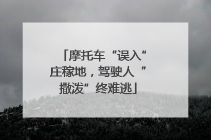 摩托车“误入”庄稼地，驾驶人“撒泼”终难逃