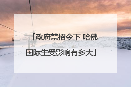 政府禁招令下 哈佛国际生受影响有多大