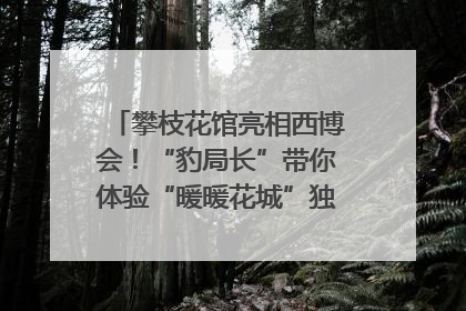攀枝花馆亮相西博会！“豹局长”带你体验“暖暖花城”独特魅力｜西博视界