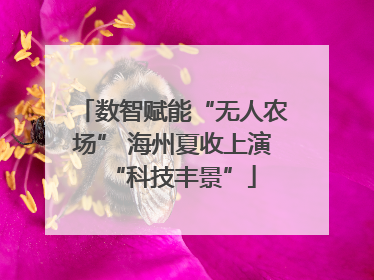数智赋能“无人农场” 海州夏收上演“科技丰景”